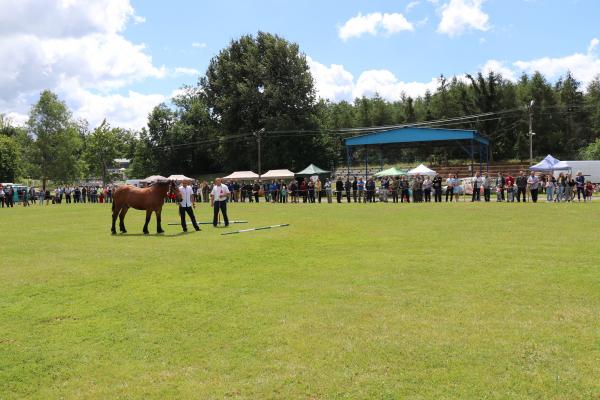 490e91da50d5454d0a427f0f97c2500d