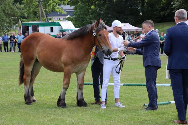 4f20686c8817d44f178d7327af359b30