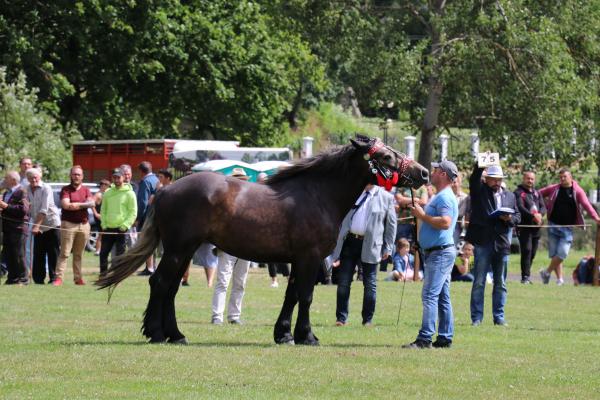 304645ff1fdd69b4a4280e0c5fe21af1