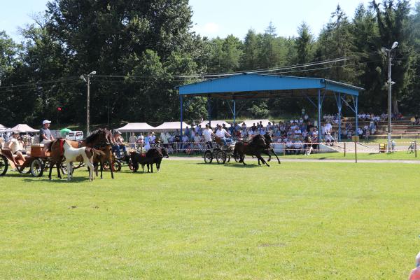 731701e77a984cfd2b32fa058540c050