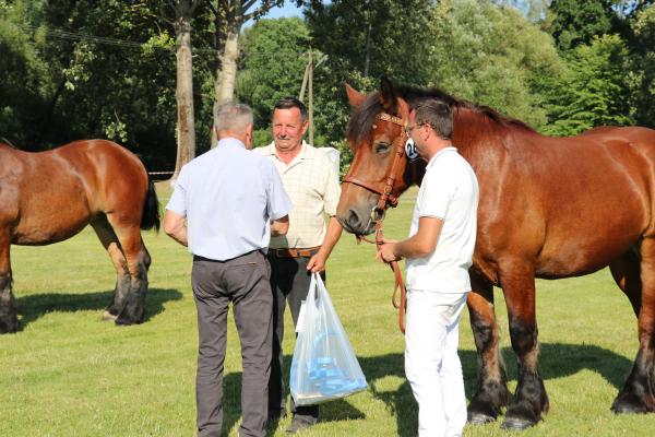 a94e13ef8b8eb348dc40a9a94f45c034