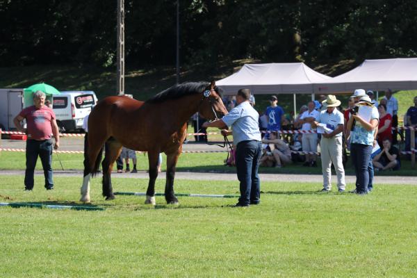 7c6c08a5208877571f57a2d6b2789fdd