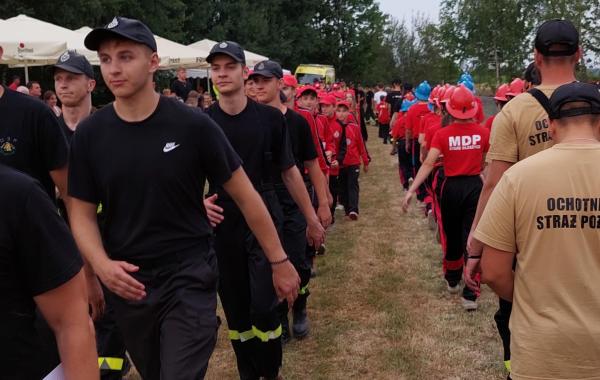 991bb582c0d7e36db109c7f2fa2f548c