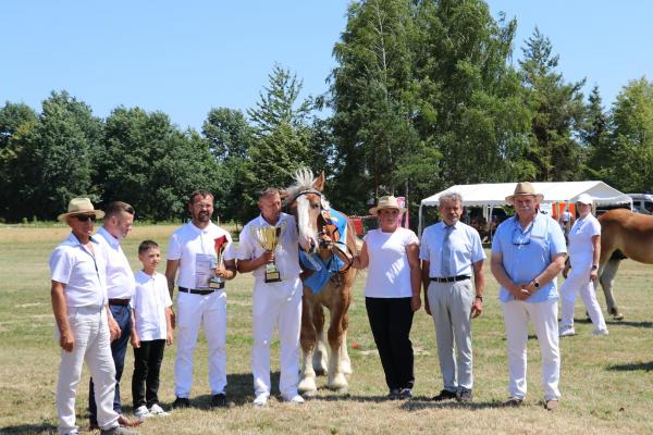 6b234775876777fcaec99529887ae3f2