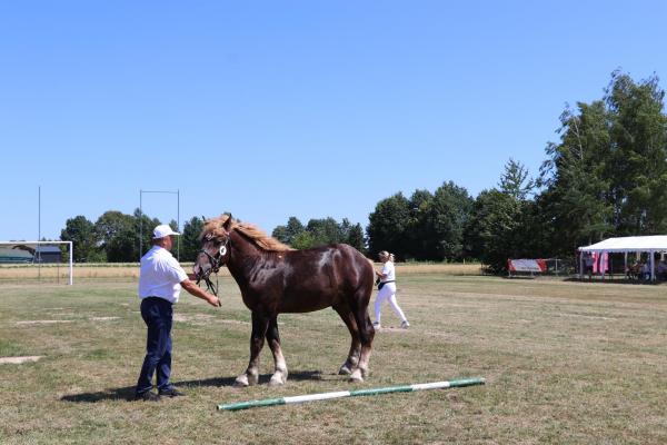 0e280efdf10b17def2933c2526e22d7b