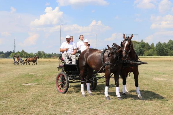 d9f9fbb4e9aee4f25af4d20fad98bdef