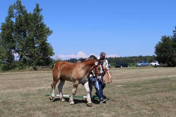 3b4369443b0c9ab2b5a055edec172540