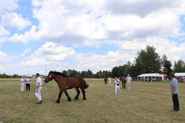 e01859736a7a2b68506594ef9d01b193