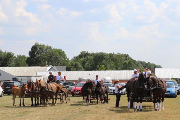 be352f1c8d3cdebf8d521a9cb4c10523