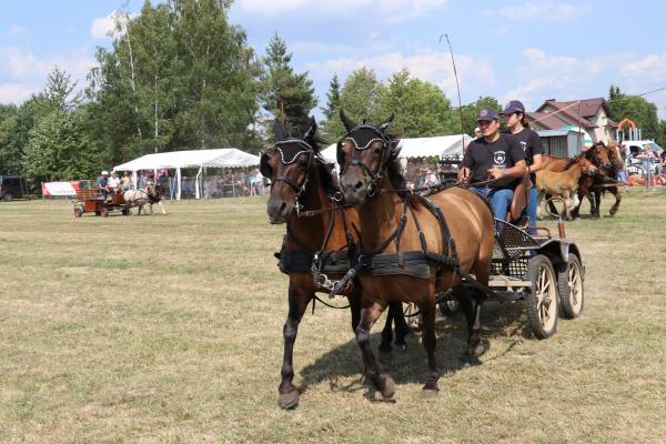 2b6c8b2bc0d7041325b99183d27fcc5d