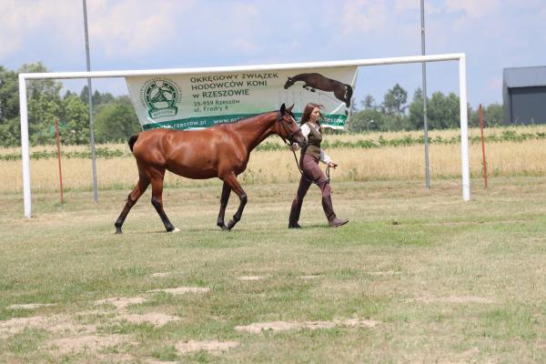 9a6c8756e303735343002908185098fa