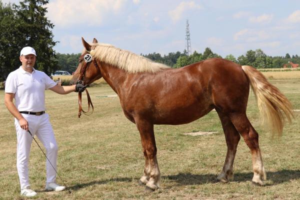 e87ce66974c1434cc1934ca2c9e37020