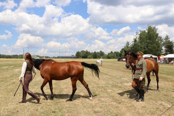 0da4639f26849a3700172662e944c68d