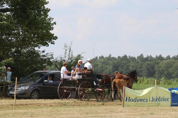 435eaf12ddbf6a26c4b0db7bd0d854f6