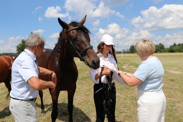 811db633e400860dc18b0fed20ac31e6