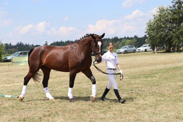 1f856006fc7a8314bfa164f05c13bd3c