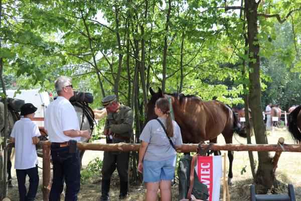 eb3f8c6a3fb6b39e35939492fdab84fe