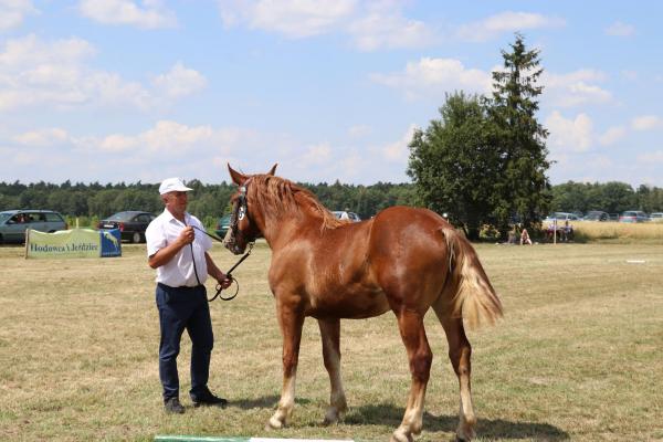 61146a88acbb17641e752c798a6e13cc