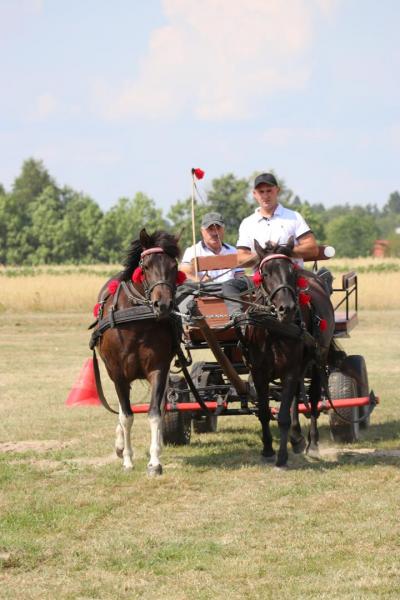 012f1e359c1c683a957d420d465262cb