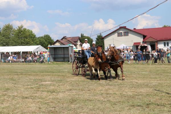 4b453378d0f5ecdfdbb65e1aaed16cfa