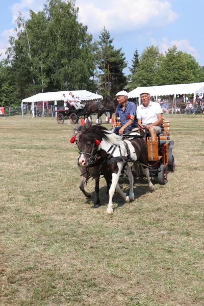 060355050c25a7842a6fa05c3950c756