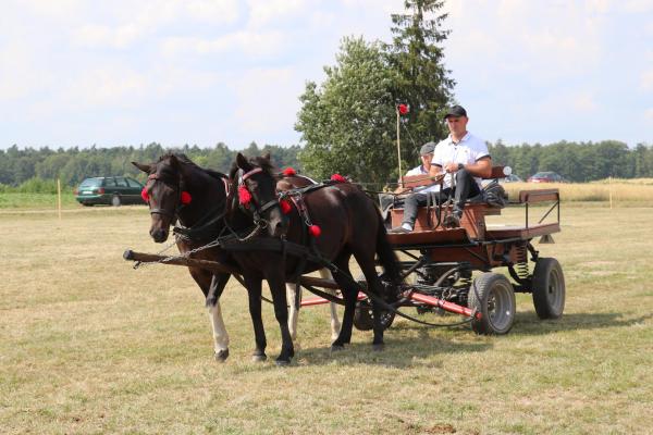 a684522f2bde48d107ea4c380cfb3da8