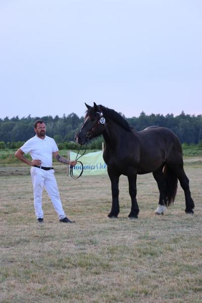 d5ba183303971a5a26b3cb4a7fd96e52