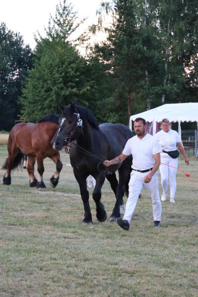 55f6fe111bf05834e776b57fba1fe74d