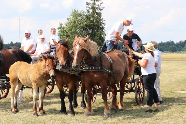 71f14d8a527ac332f9253c98e68b8c5c