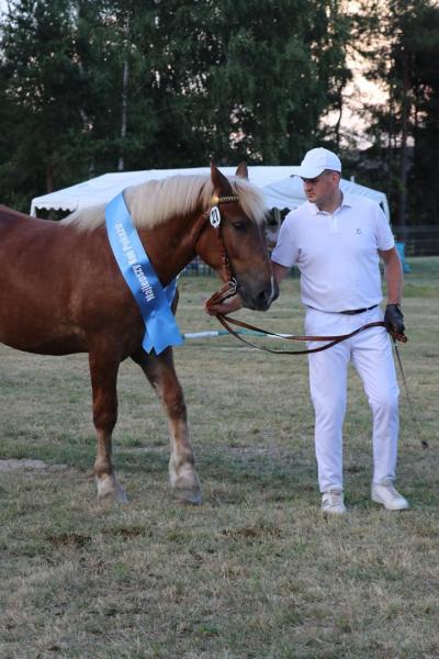 8315fee2ea6764b08d73d2d41ccaa099