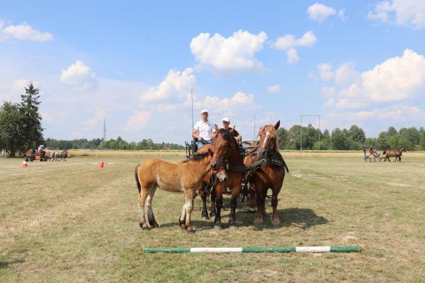 417e1c53b0105f13c2c78ef5090996e2