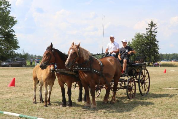 ab12290285ed59e622acf172044e9fbe