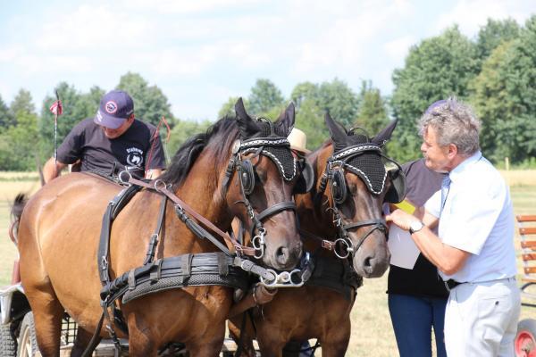 dd73b9a1c59c7758998f2bdfa0fa3ab1