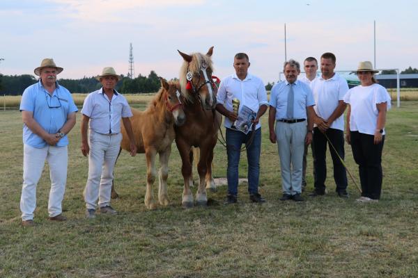 6d2113724fa5ce2e0747d8400fefd267