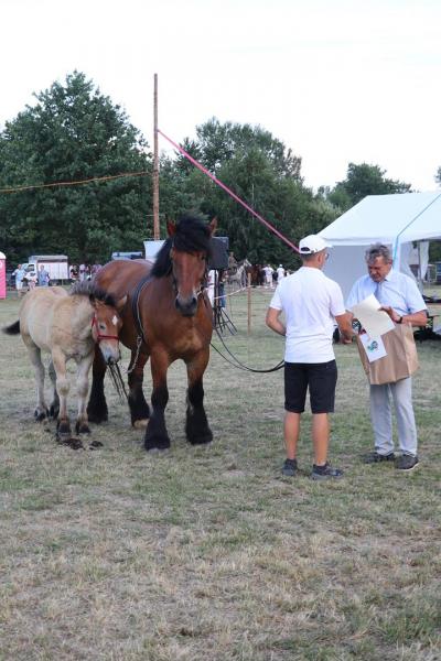 5d481731cda69df7f53b48864d02d8ff