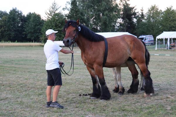 1b10bf60d0c7df417adc6abde986ea4d