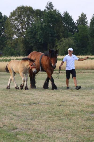 97bc5b4ad5bcb69a82f3201c872b624c