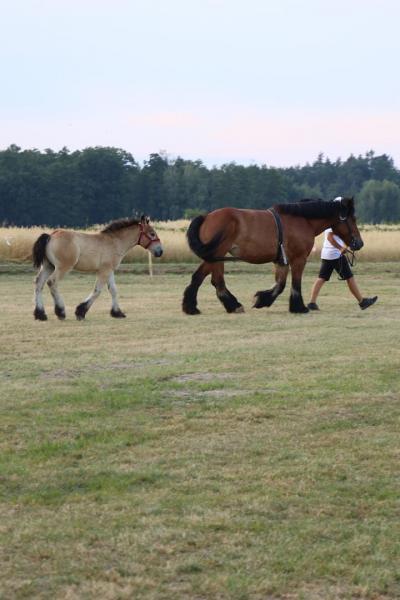 fde6b66ca8231641a5eccb2d0bb9239b