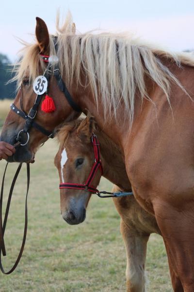 b8958c6fef5aa7f97684c877df1cbb06