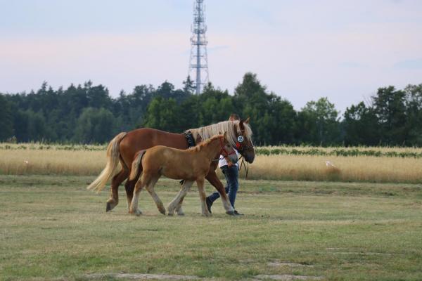 6767f05b0a616cda320d05569b090226