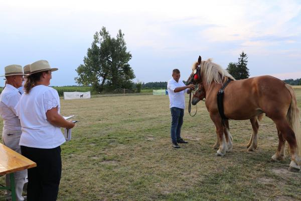 c3aca6f0392426ace6c0c20dd2731ae1