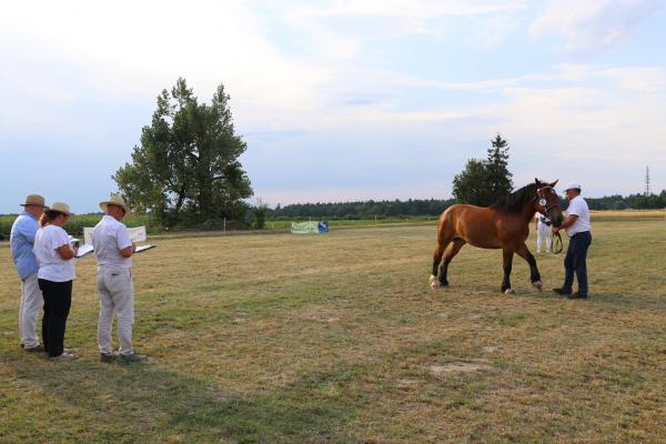 0baefd62563bce33e4b655d8136e5ce7