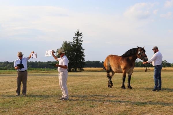 61862ab6e0367c9d2696c3ab7485a923