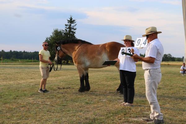 46a948d5ffce64ff56c6e89eb6f9333d