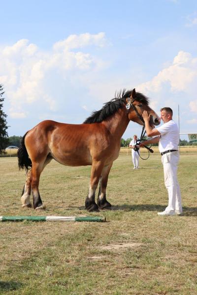 1be625298d4048e96720a8bea7193d85