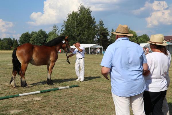 862e540918ea575b61791e70ea8b9f5e