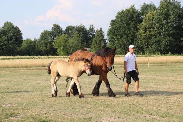 e0c326956a52b38e6c202c5a270dade1