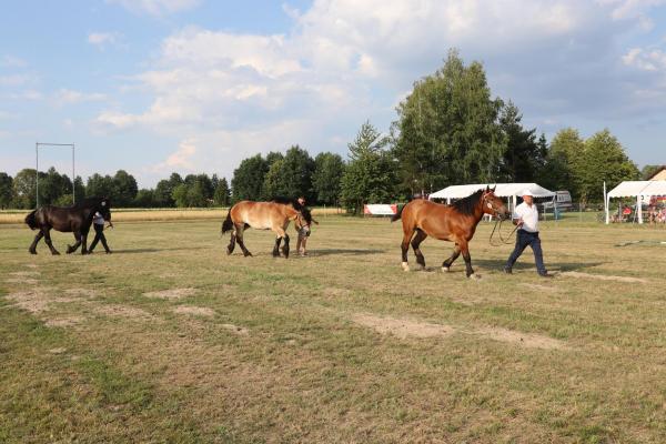 48fad57480b981dd0a83bff4490bbbf4