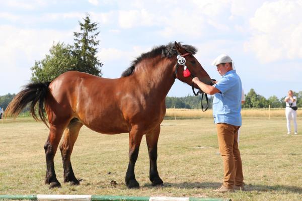 6000023a3ad9af6c8357ec1ea25f5200