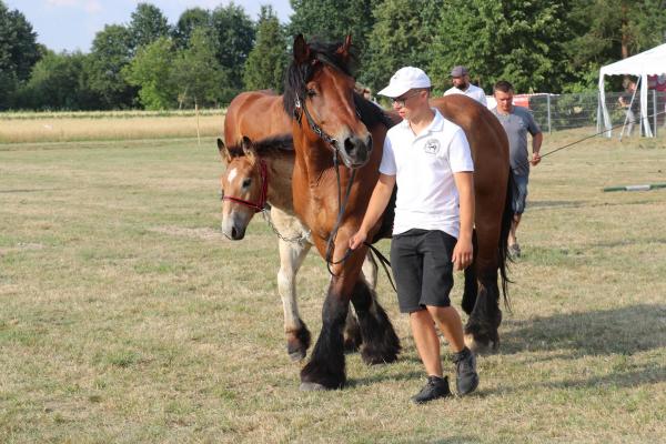 40552426a78f32c17eaaf953cff73a86